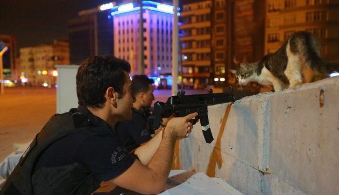 turska polcija, mačka