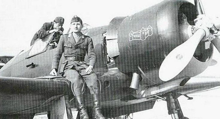 Kuvahaun tulos haulle Croatian Air Force Legion