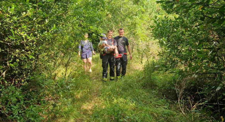Šestogodišnjakinja pronađena nakon dramatične potrage u Istri, bila je u šoku skrivena u travi: 'Nije mogla ni zaplakati'